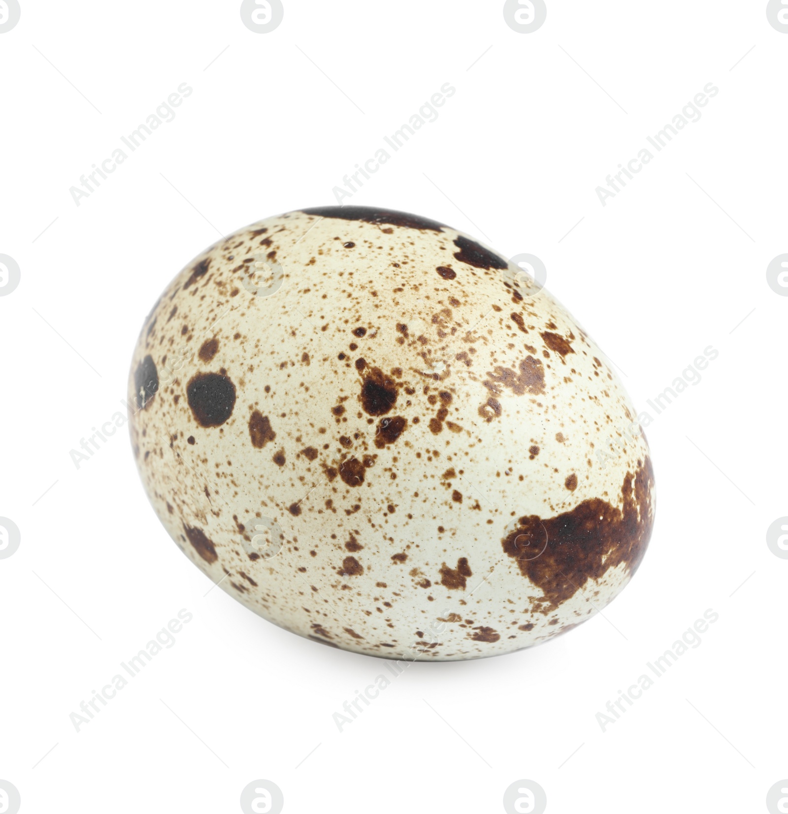 Photo of One beautiful quail egg isolated on white