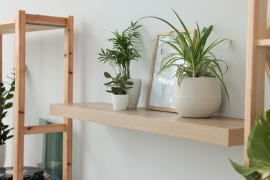 Photo of Wooden shelf with beautiful houseplants and home decor on light wall in room