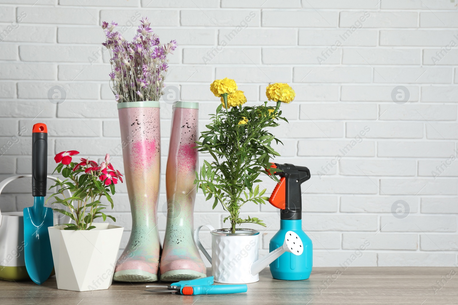 Photo of Beautiful flowers and gardening tools on wooden table near white brick wall