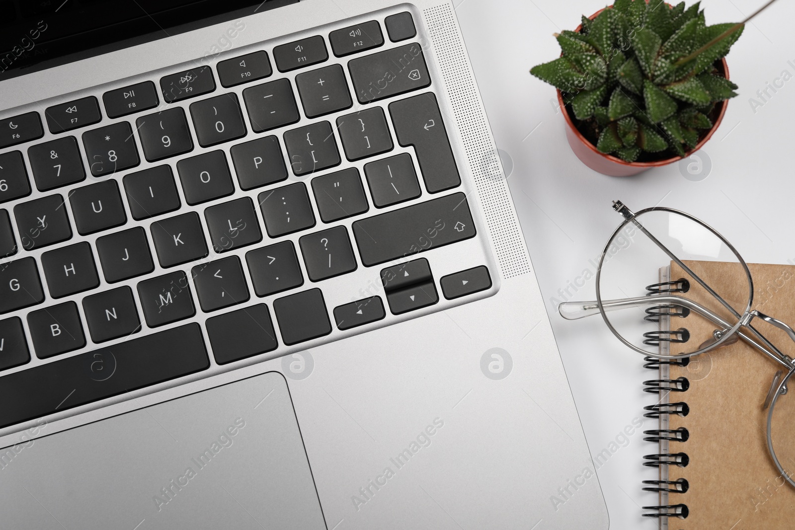 Photo of Modern laptop, houseplant, notebook and glasses on white background, flat lay