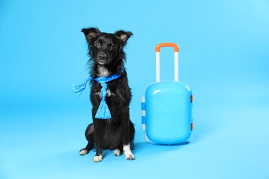 Photo of Cute dog with scarf and small suitcase on blue background