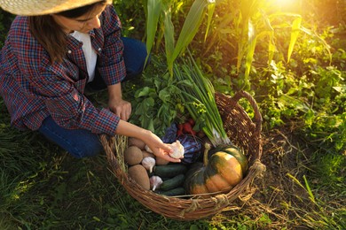 Photo of Woman harvesting different fresh ripe vegetables on farm, above view