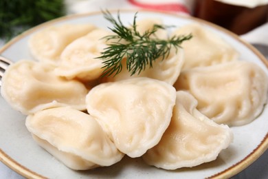 Photo of Cooked dumplings (varenyky) with tasty filling and dill on plate, closeup