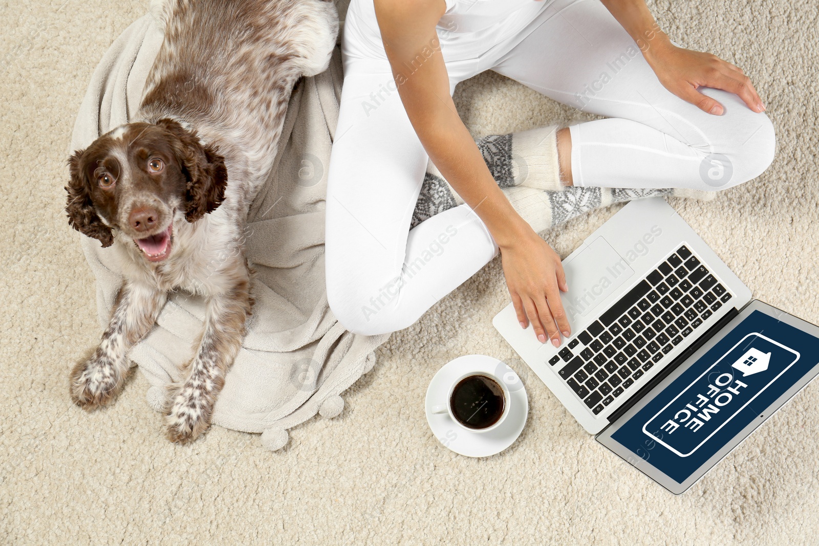 Image of Young woman with laptop and her dog on light carpet, top view. Home office