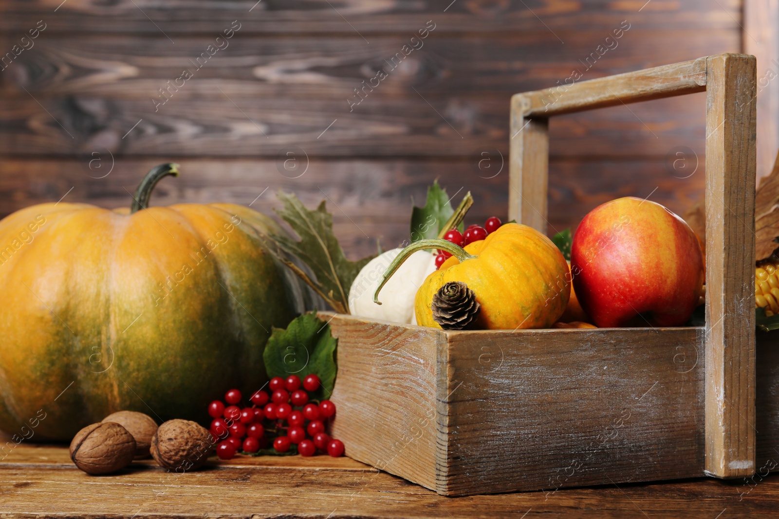 Photo of Happy Thanksgiving day. Composition with pumpkins, berries and walnuts on wooden table, closeup