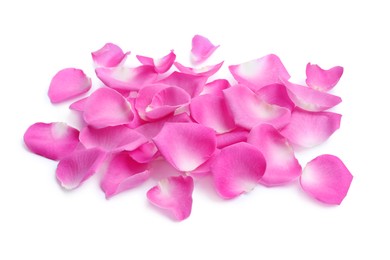 Photo of Many pink rose petals on white background