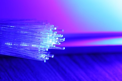Photo of Optical fiber strands transmitting color light against blurred background, macro view. Space for text