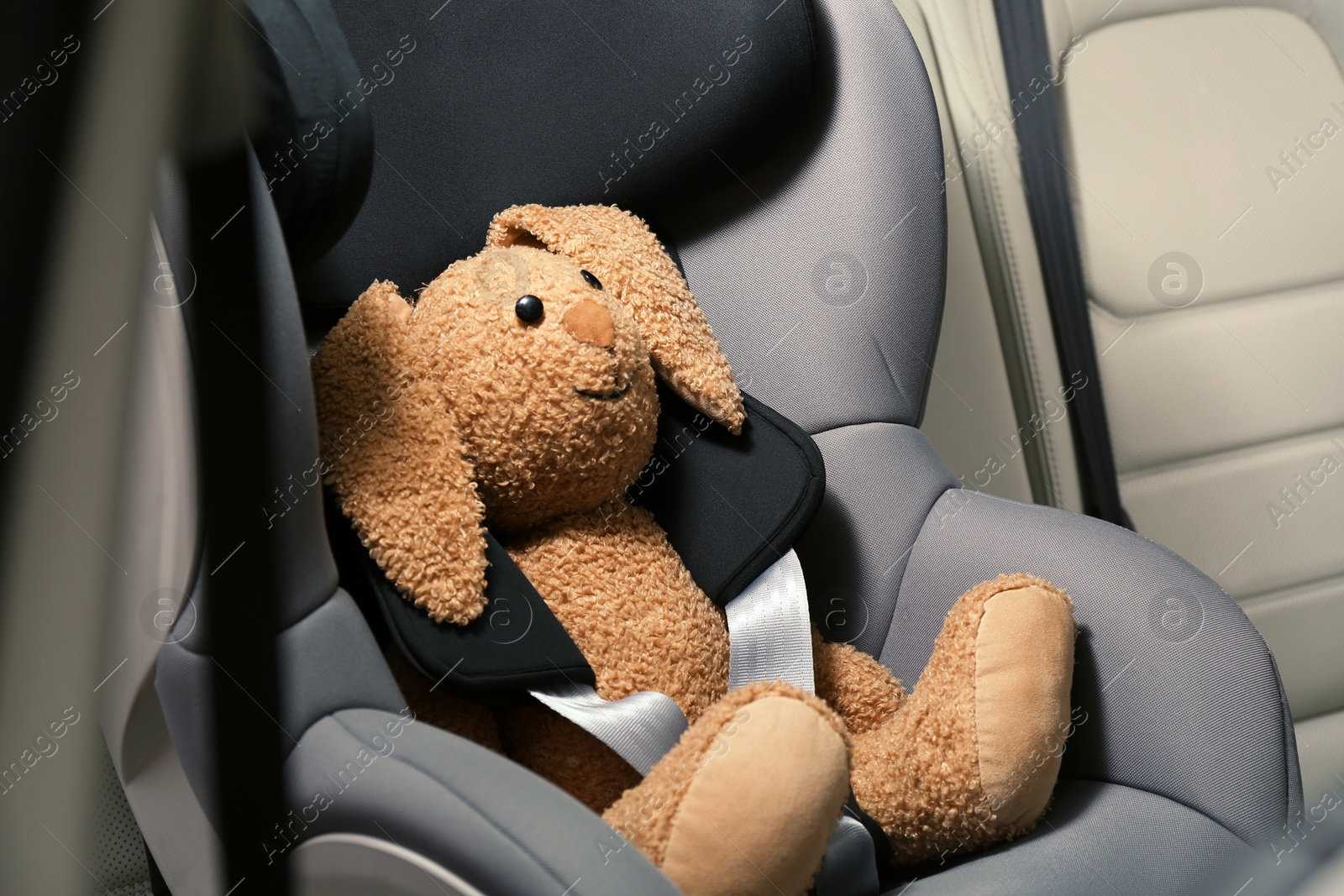 Photo of Safety seat for baby with cute toy rabbit