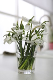 Beautiful snowdrops in vase on countertop indoors