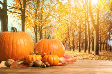 Image of Happy Thanksgiving day. Fresh pumpkins, spikelets, walnuts, acorns and fallen leaves on wooden table outdoors, space for text 