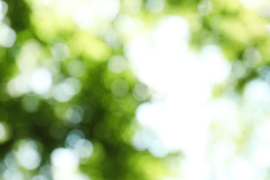 Blurred view of abstract green background. Bokeh effect