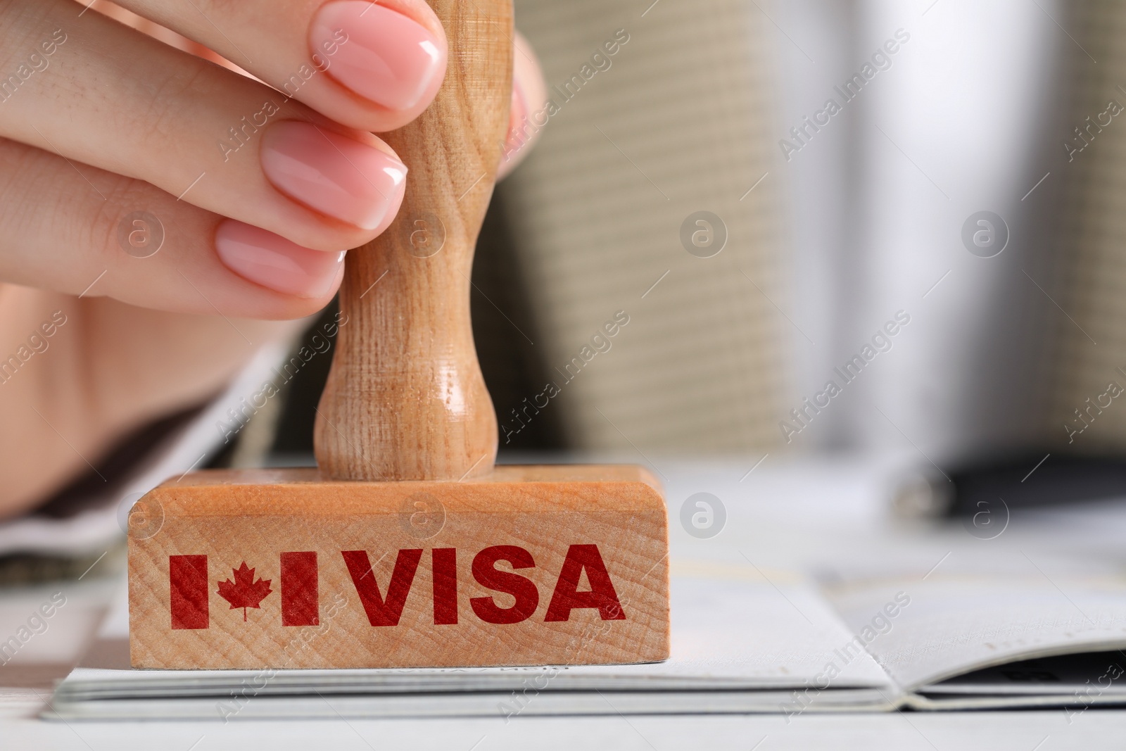 Image of Woman stamping document at white wooden table, closeup. Visa for Canada