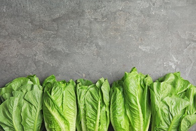 Photo of Fresh ripe cos lettuce on gray background, top view