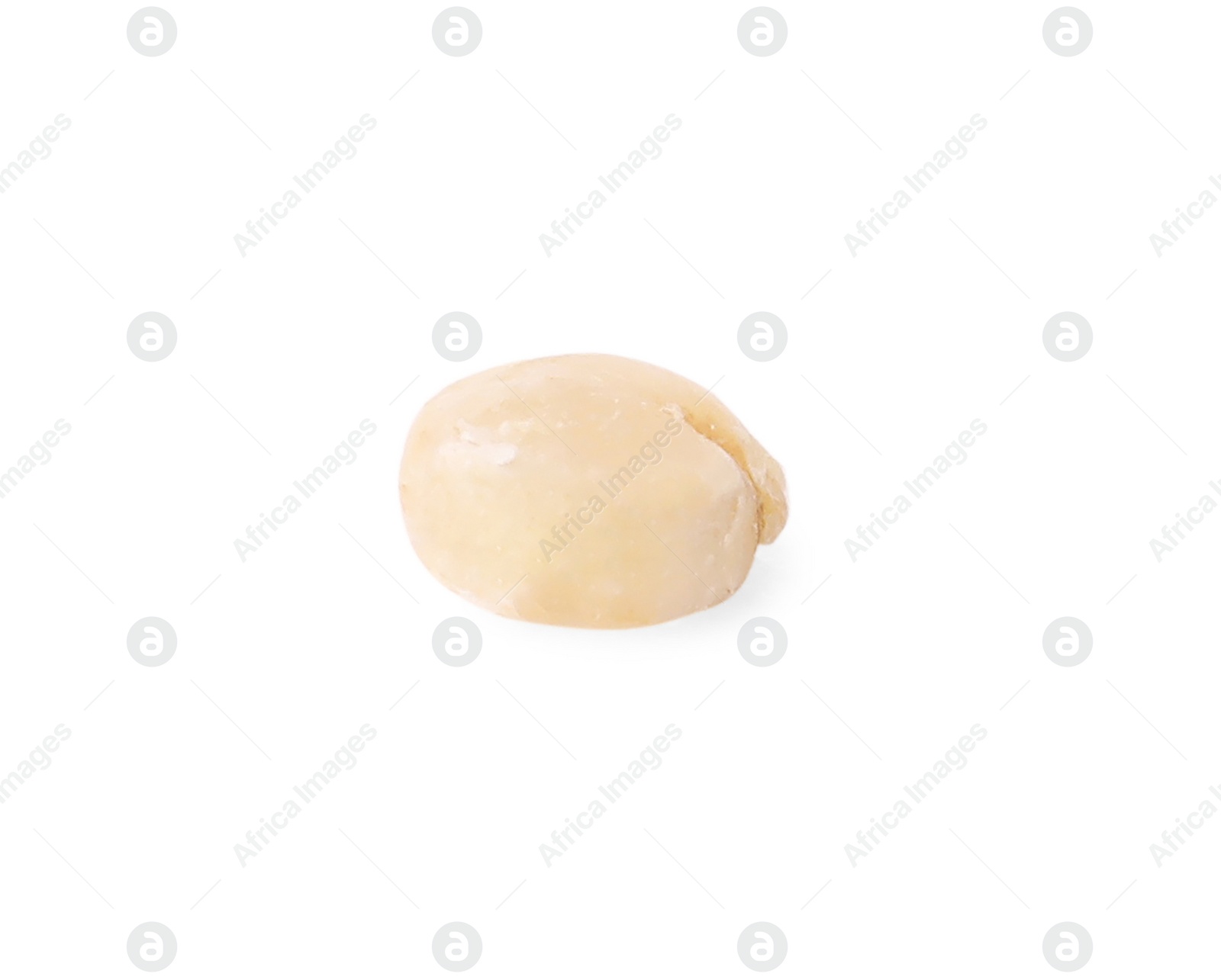 Photo of Raw quinoa seed on white background. Vegetable planting