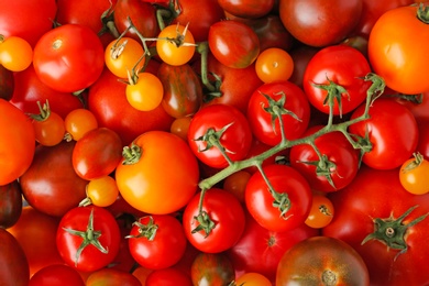 Photo of Many fresh ripe red and yellow tomatoes as background, top view