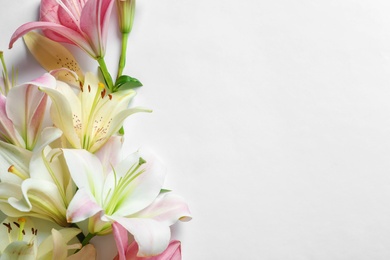 Photo of Composition with beautiful blooming lily flowers on white background