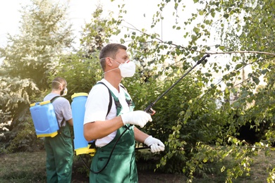 Photo of Workers spraying pesticide onto tree outdoors. Pest control
