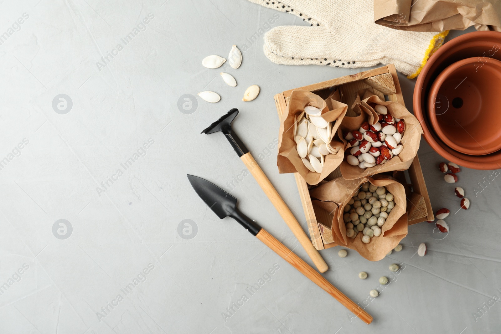 Photo of Different vegetable seeds and gardening tools on light grey table, flat lay. Space for text