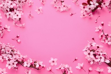 Beautiful frame of spring tree blossoms on pink background, flat lay. Space for text