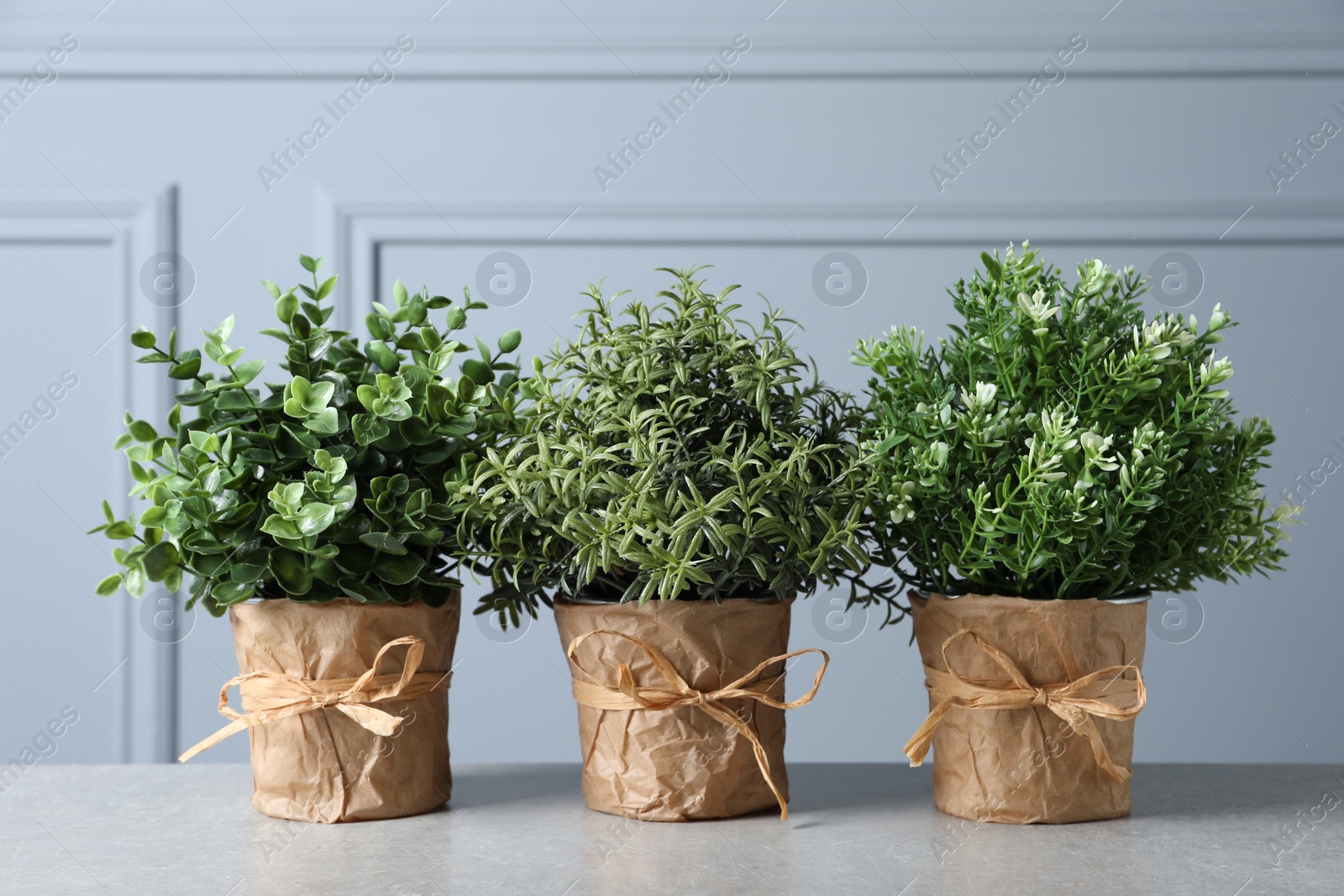 Photo of Different aromatic potted herbs on light grey table