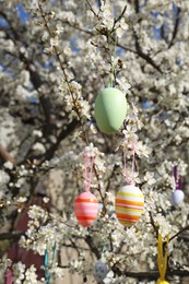 Beautifully painted Easter eggs hanging on blooming cherry tree outdoors