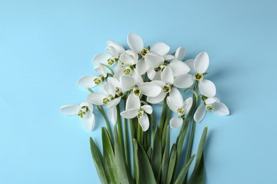 Beautiful snowdrops on light blue background, flat lay