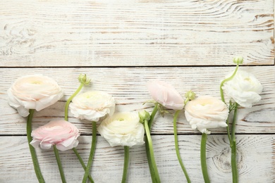 Photo of Beautiful ranunculus flowers and space for text on wooden background, flat lay