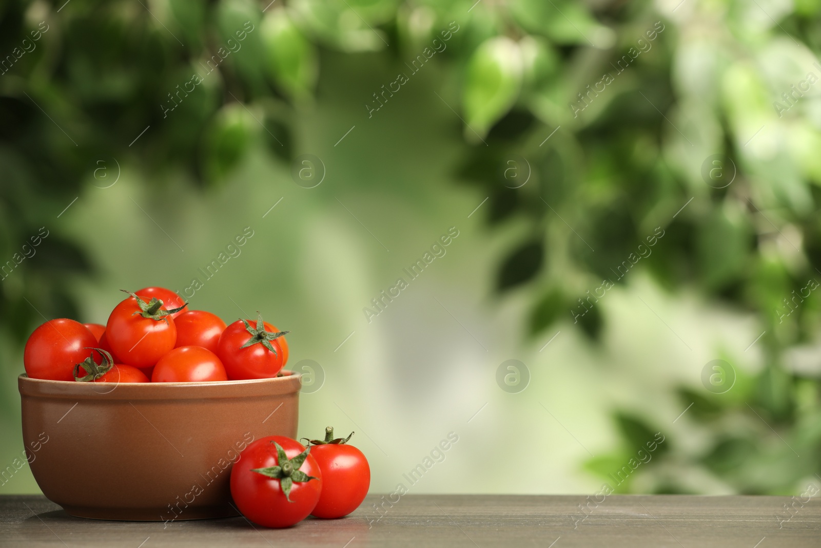 Photo of Wooden bowl with fresh tomatoes on blurred background. Space for text