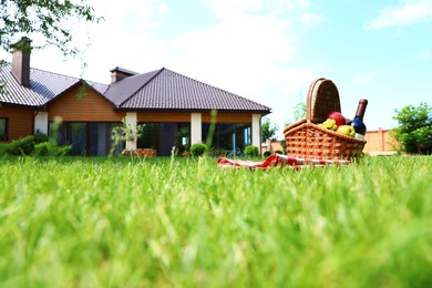 Picnic basket with fruits, bottle of wine and checkered blanket on green grass in garden. Space for text