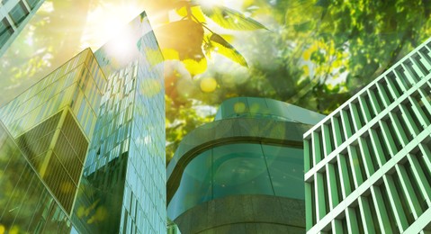Image of Go green concept. Low angle view of modern building and tree on sunny day