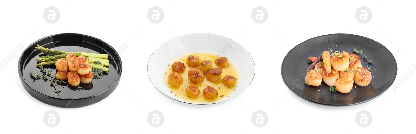 Image of Delicious fried scallops in plates isolated on white, set