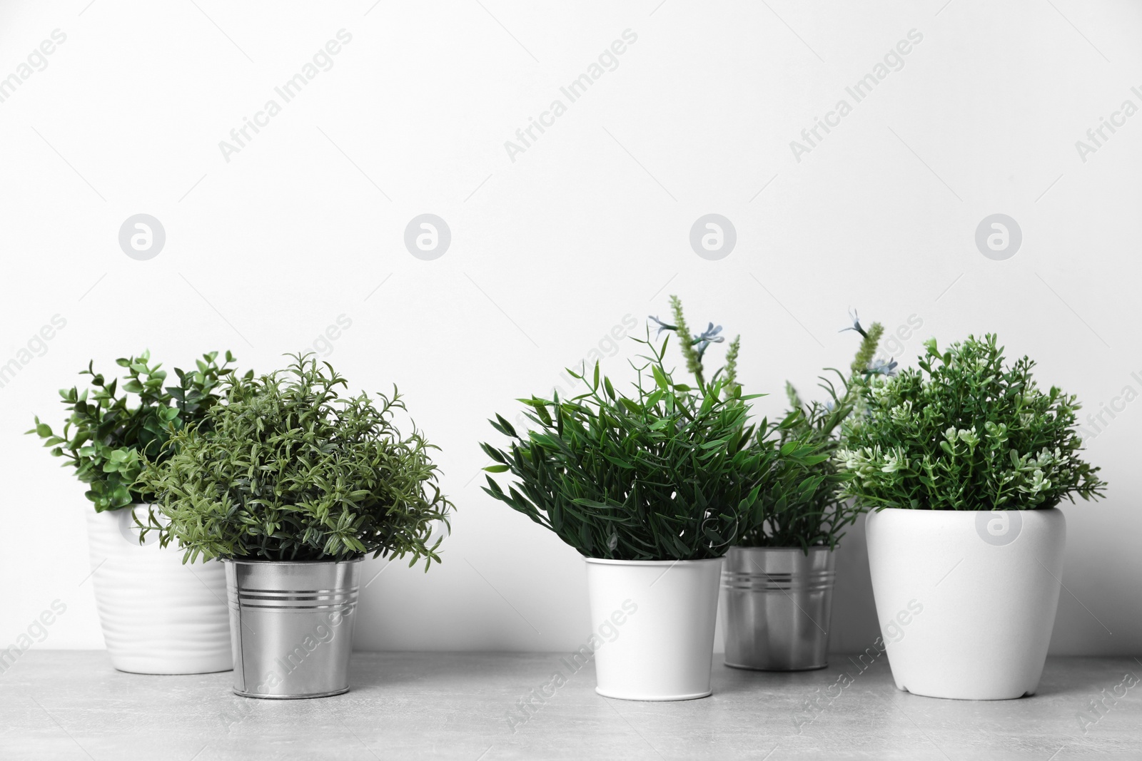 Photo of Different artificial potted herbs on light grey table