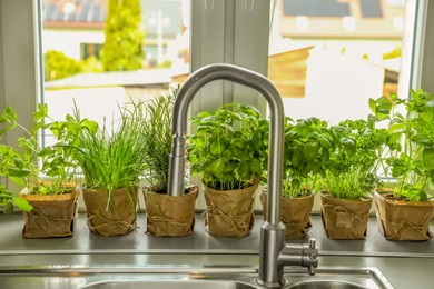 Different aromatic potted herbs on window sill near kitchen sink