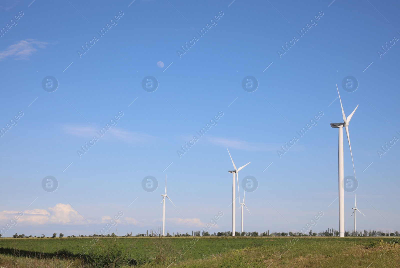 Photo of Beautiful view of field with wind turbines. Alternative energy source