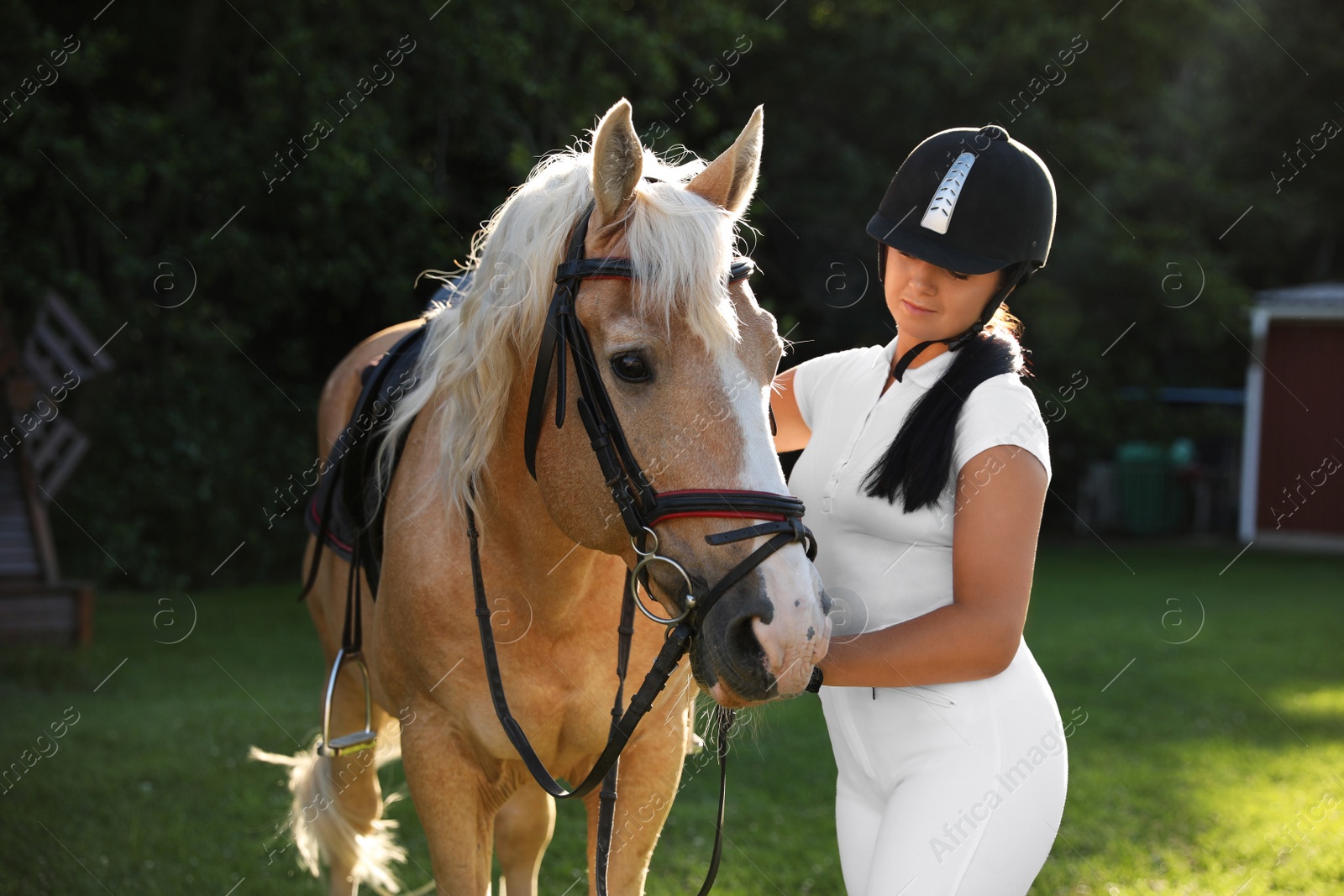 Photo of Young woman in horse riding suit and her beautiful pet outdoors on sunny day