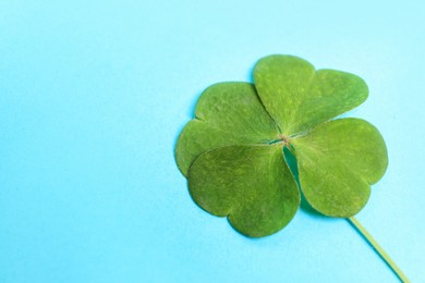 Beautiful green four leaf clover on light blue background, closeup. Space for text