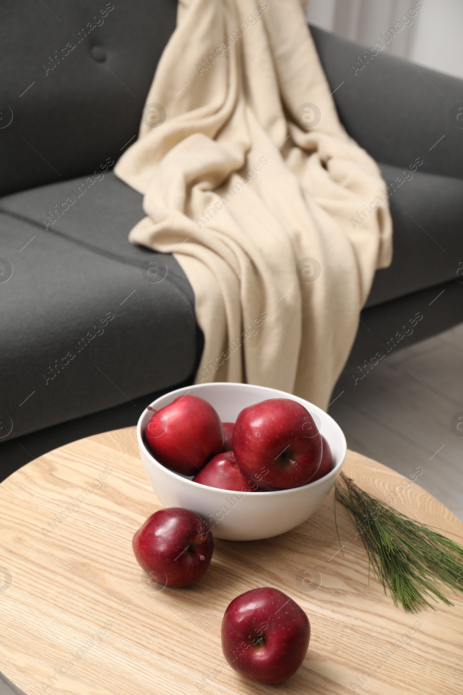 Photo of Red apples and coniferous branches on wooden coffee table near grey sofa indoors
