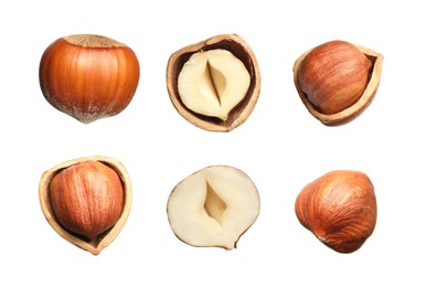 Image of Set with tasty hazelnuts on white background 