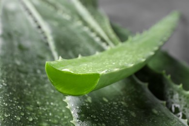 Photo of Fresh aloe vera leaves with water drops, closeup