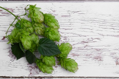 Photo of Branch with fresh hops and leaves on white wooden table, top view. Space for text