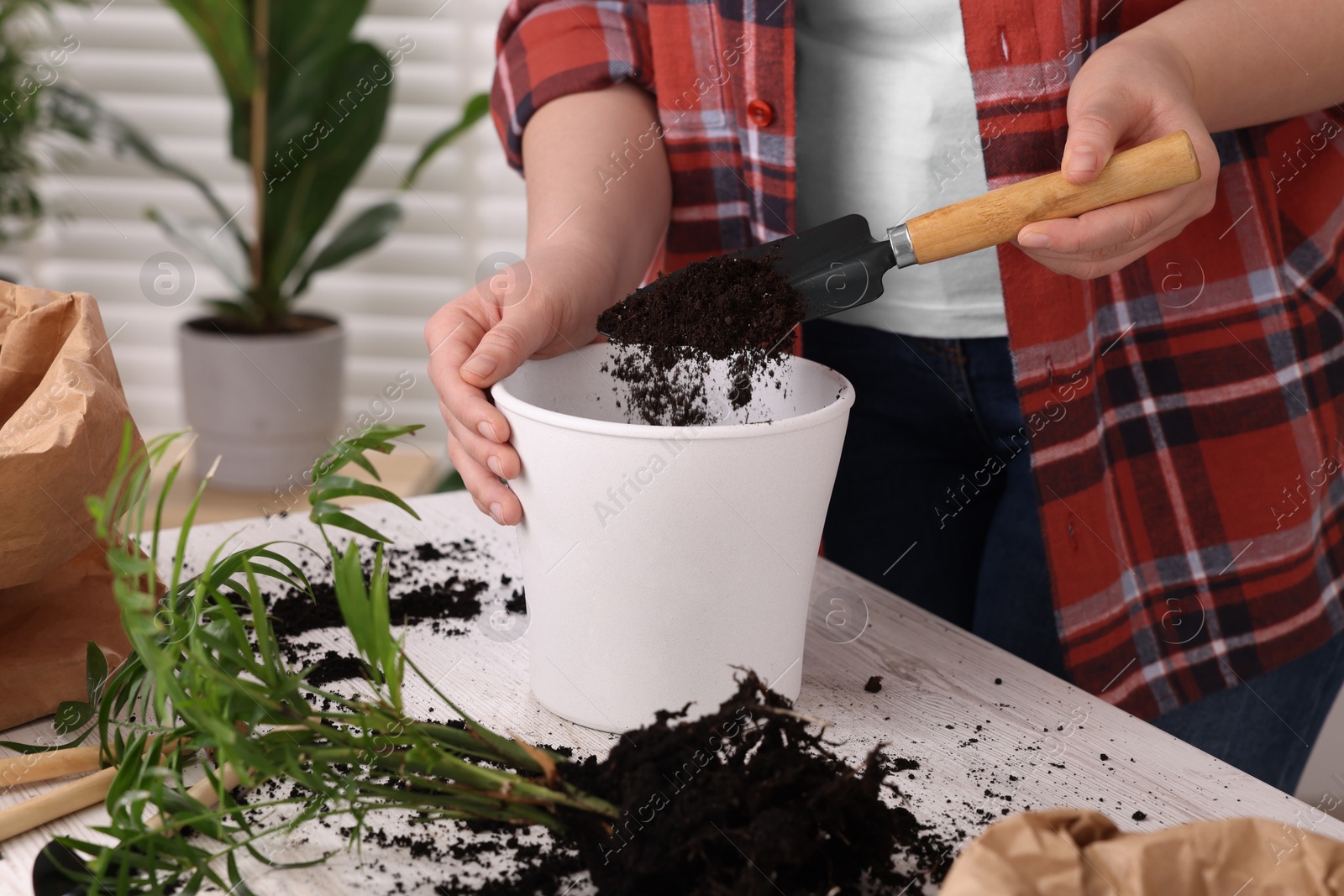 Photo of Woman putting soil into pot at white table indoors, closeup. Transplanting houseplants