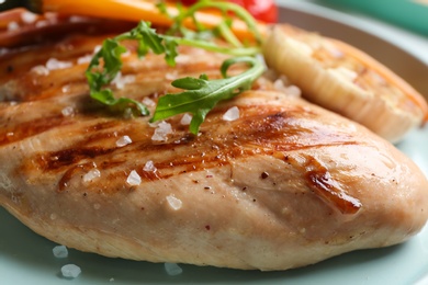 Photo of Tasty grilled chicken fillet with arugula and salt on plate, closeup