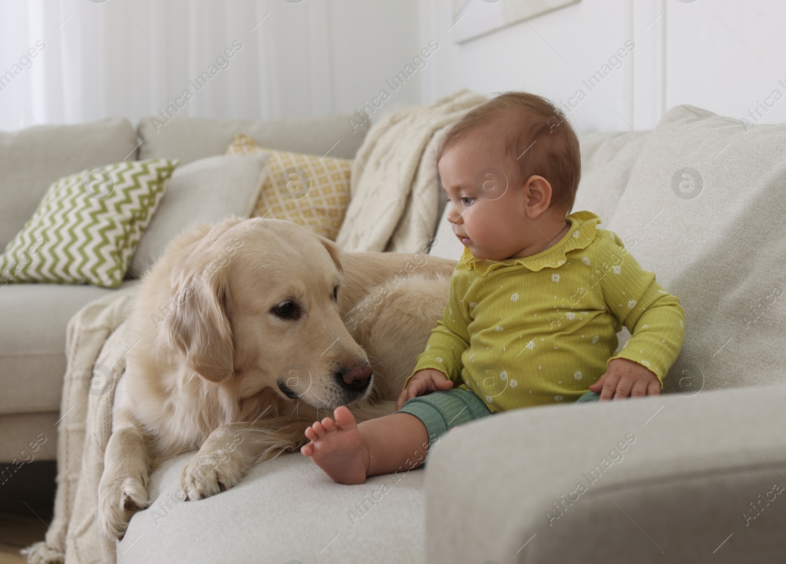 Photo of Cute little baby with adorable dog on sofa at home