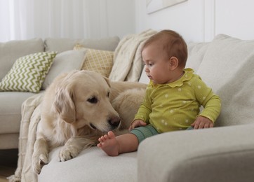 Cute little baby with adorable dog on sofa at home