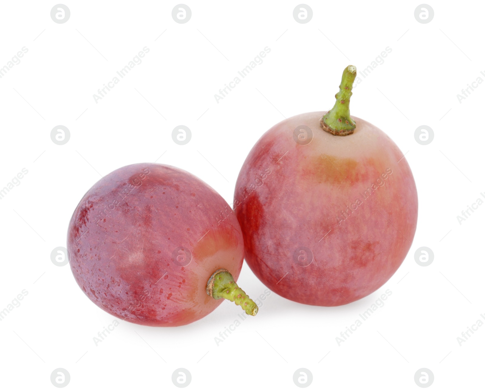 Photo of Two ripe red grapes isolated on white