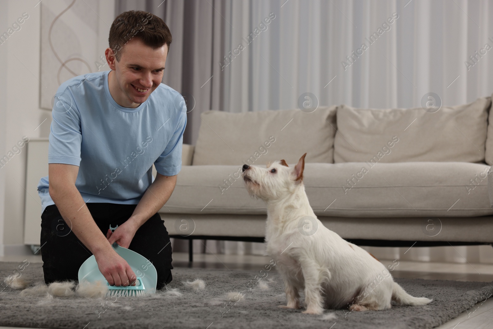 Photo of Smiling man with brush and pan removing pet hair from carpet at home