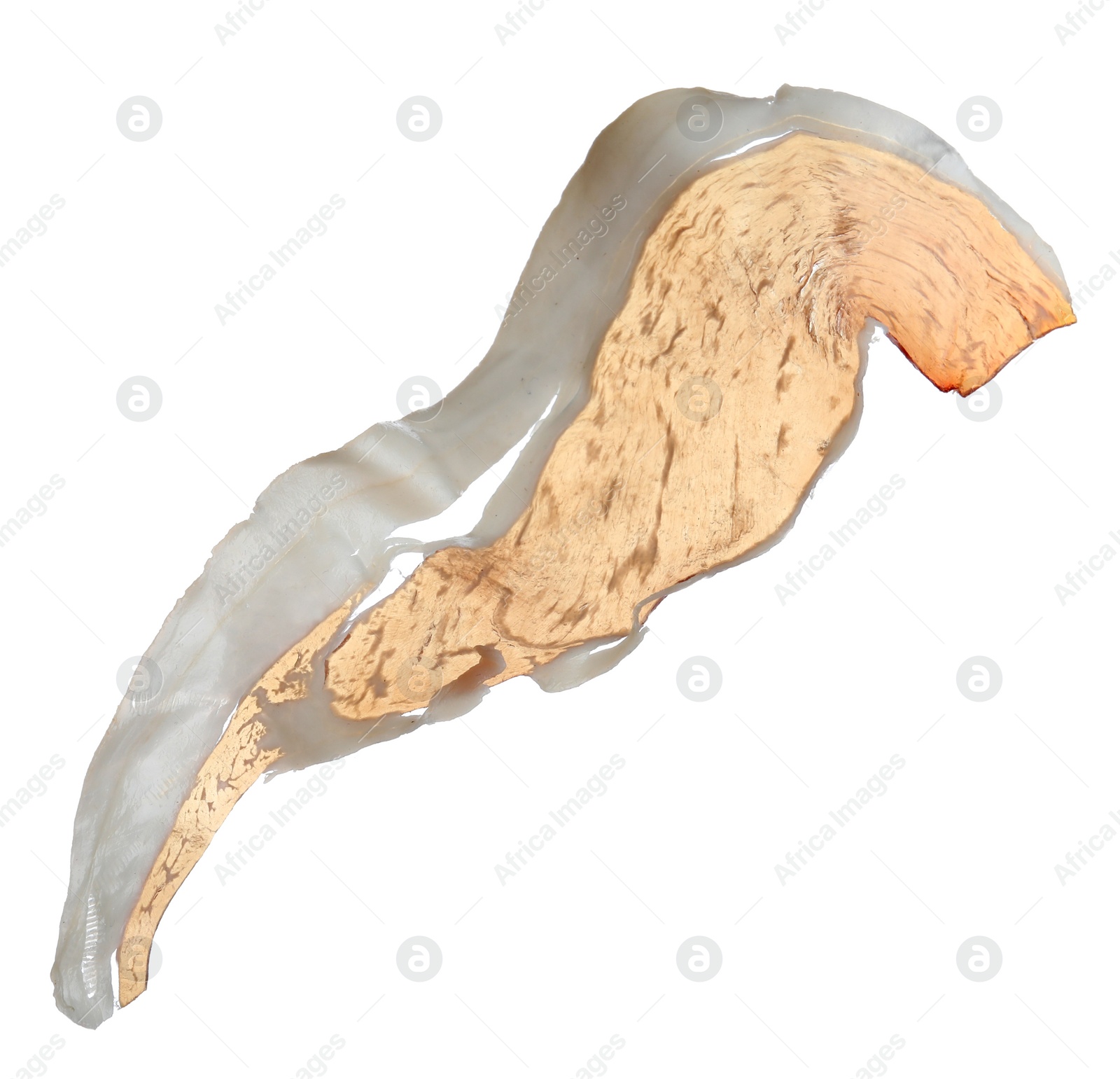 Photo of Slice of tasty prosciutto isolated on white