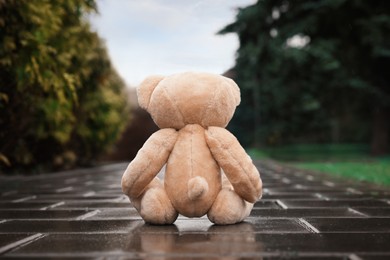 Lonely teddy bear on stone sidewalk outdoors, back view