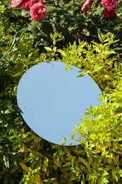 Photo of Round mirror among bush branches reflecting beautiful sky