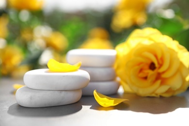Photo of Spa stones and fresh rose on table in blooming garden. Harmony and zen